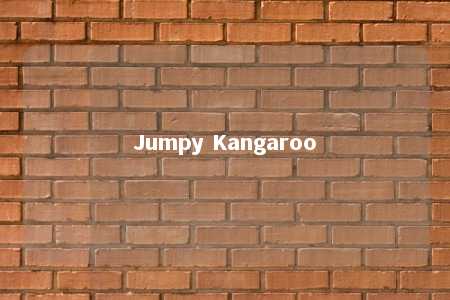 Jumpy Kangaroo