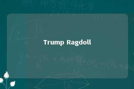 Trump Ragdoll